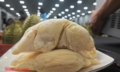 Sầu riêng Ri 6 Việt Nam áp đảo chợ châu Á ở Mỹ