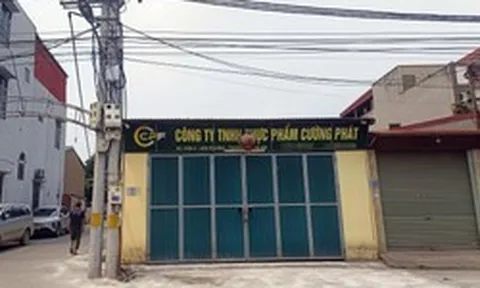 Chân dung công ty đưa thịt lợn bệnh vào nhiều trường học tại Hà Nội