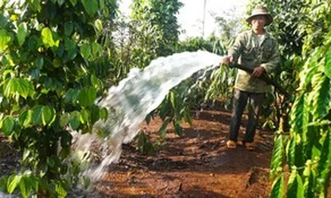 Tiết kiệm chi phí xăng dầu: Nông, ngư dân tưới cây bằng điện, bán cá giữa biển