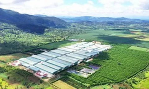 Ngân hàng đồng hành thúc đẩy kinh tế địa phương, ưu tiên phát triển bền vững