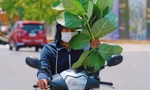 Nam Bộ hứng nắng nóng gay gắt trong tháng 4, có nơi chạm ngưỡng 39°C