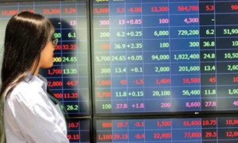 Tuần tới, VN-Index liệu có 'thủng đáy' 1.600 điểm?