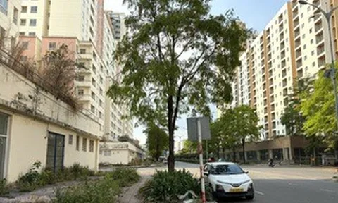 Rà soát quỹ nhà tái định cư sau chỉ đạo của Bí thư Thành ủy TPHCM