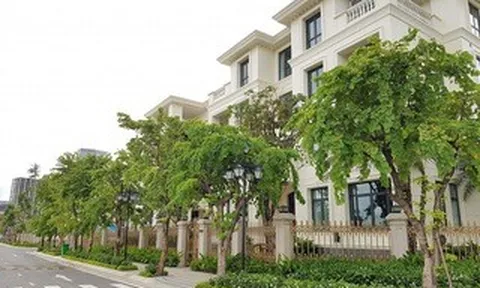 HoREA đề nghị bãi bỏ quy định “phân biệt” doanh nghiệp khi tiếp cận vốn vay