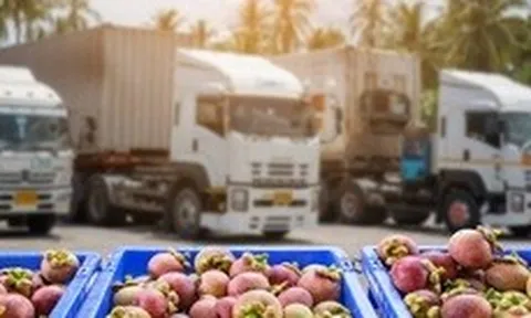 Tiếp tục tạm ngưng áp dụng Nghị định 46 về an toàn thực phẩm