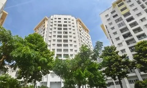 TPHCM đấu giá 28 căn hộ tại chung cư Phú Thọ