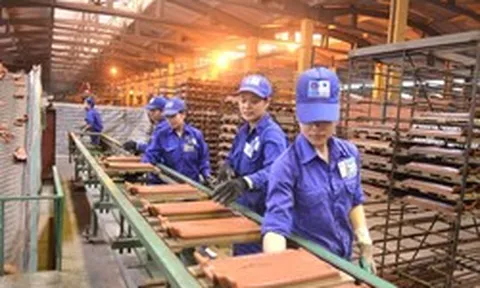 Doanh nghiệp đầu tiên báo lỗ trong quý 1/2026: Lỗ 15 quý liên tiếp, âm vốn chủ sở hữu