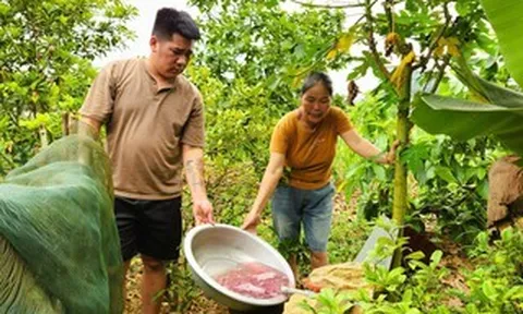 Tìm ra nguyên nhân vụ nước giếng khoan đổi màu tím bất thường
