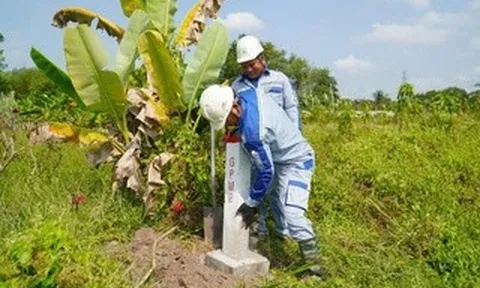 Thành công đến từ đồng thuận