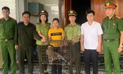 Hà Tĩnh: Người dân giao nộp hai cá thể động vật nguy cấp, quý hiếm