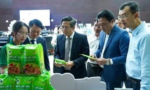 Đà Nẵng thúc đẩy chuyển đổi xanh, hướng tới đô thị sinh thái, thông minh