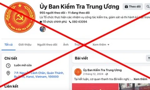 Mạo danh cơ quan nhà nước trên không gian mạng có thể bị xem xét xử lý hình sự