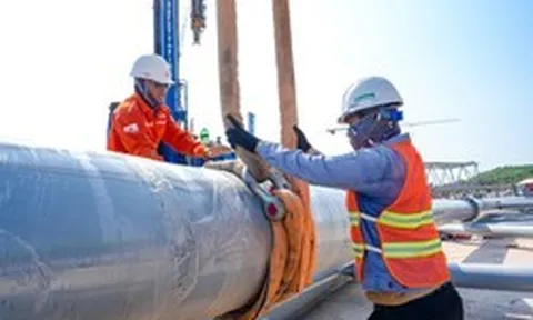 Một kỳ tích 12.000 tấn “made in Vietnam” xuất hiện, dự kiến lập kỷ lục lớn nhất thế giới