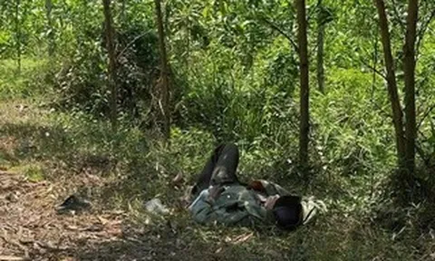 Cụ ông 79 tuổi mang "thỏi vàng" nằm lả bên vệ đường ở giữa rừng tràm