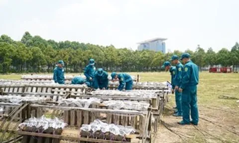 Cận cảnh trận địa pháo hoa tại phường Bình Dương trước giờ khai hỏa