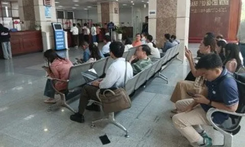 Doanh thu hộ kinh doanh miễn thuế nên được tính sát với lợi nhuận