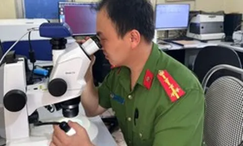 Cảnh báo mới liên quan đến giấy phép lái xe, biển số xe