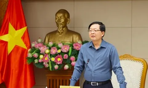 Phó Thủ tướng yêu cầu mở "chiến dịch ngày đêm" làm sạch dữ liệu đất đai