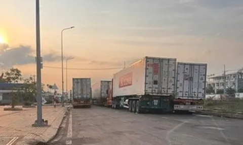 Chủ tịch Thành phố Đồng Nai chỉ đạo ‘nóng’ vụ ùn ứ hàng trăm xe container sầu riêng
