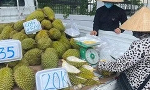 Doanh nghiệp và người trồng sầu riêng "đứng ngồi không yên"