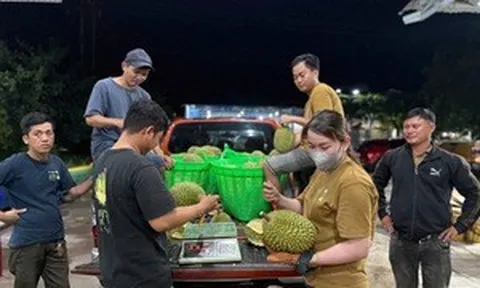 Giá sầu riêng lao dốc, xe ùn ứ chờ kiểm nghiệm: Điều gì đang xảy ra với 'vua' trái cây?