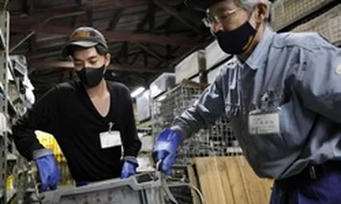Nikkei: 11,5 triệu việc làm tại Việt Nam chịu tác động nghiêm trọng từ AI