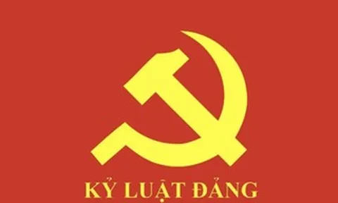 Ban Bí thư khai trừ ra khỏi Đảng 3 đảng viên vi phạm
