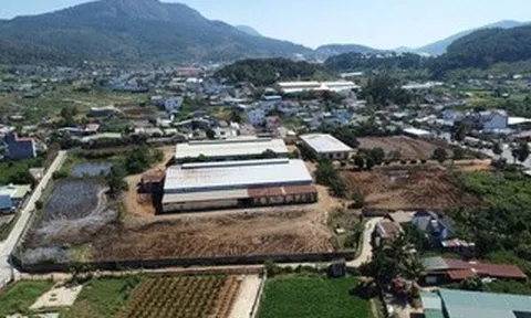 Tập kết phân bón gây ô nhiễm