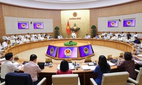 Cử người không đúng thành phần dự cuộc họp của Chính phủ, đề xuất phê bình công khai