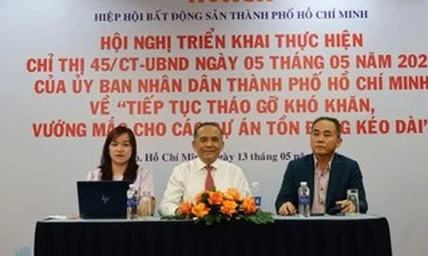 HoREA gửi văn bản hỏa tốc đề nghị rà soát 838 dự án vướng mắc, tồn đọng