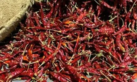 Sau sầu riêng, Lào sắp cạnh tranh với Việt Nam một loại ‘sản vật’ tại Trung Quốc: Láng giềng trồng khắp các tỉnh, nước ta đang trồng hàng chục nghìn ha
