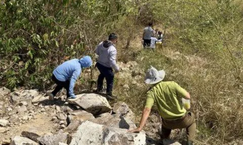 Bắt đầu khảo sát mở thông tuyến đường xuyên núi Lớn ở Vũng Tàu dài hơn 10 km