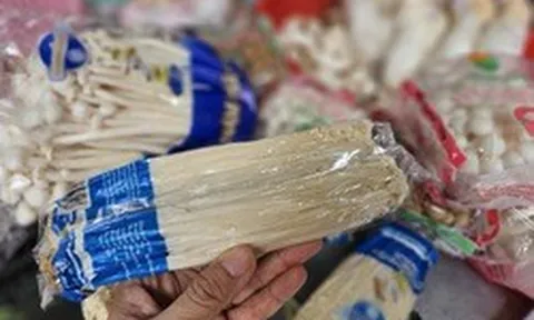 Nấm trôi nổi bủa vây chợ dân sinh TP.HCM: Người mua đang ‘đánh cược’ sức khỏe