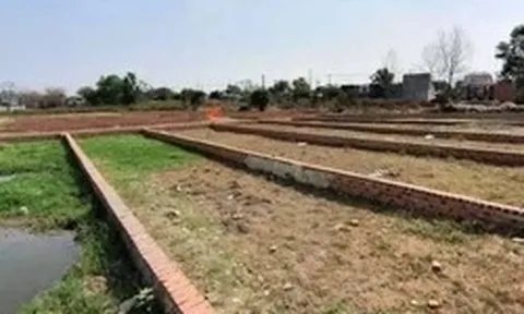 Rà soát diện rộng tình trạng phân lô bán nền tự phát