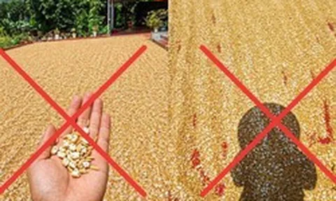 Cần xử nghiêm người đăng ảnh AI gây hoảng sợ trong nắng nóng cực độ ở miền Bắc