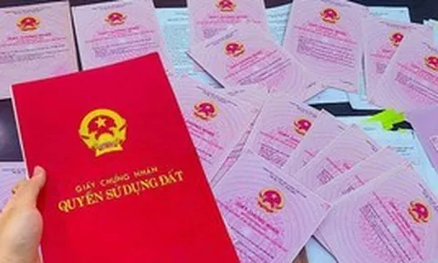 Cơ quan thuế phát thông tin quan trọng đến người sử dụng đất: Chậm làm thủ tục này có thể ảnh hưởng quyền lợi