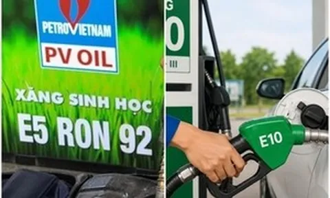 Cùng là xăng sinh học, E5 và E10 khác nhau thế nào?