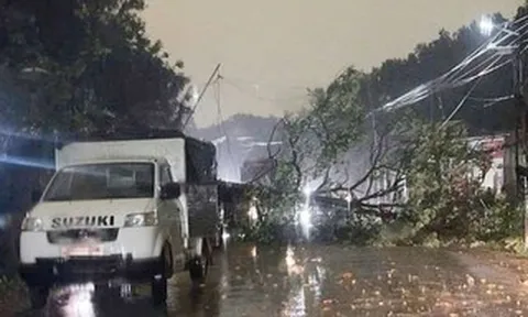 Không khí lạnh cuối mùa trở lại, cảnh báo thiên tai những ngày tới