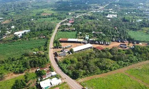 Chốt thời gian hoàn thành phương án bồi thường, tái định cư các dự án kết nối sân bay Long Thành