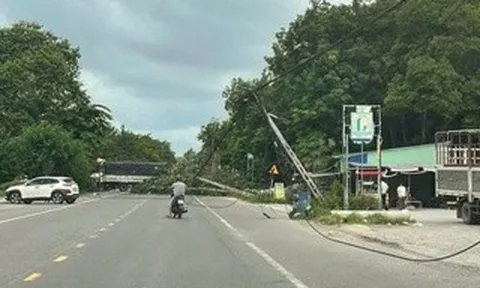 Cây xanh bật gốc kéo đổ 2 cột điện, dây điện chắn ngang đường ở TPHCM
