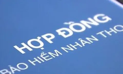 Xuất hiện công ty bảo hiểm nhân thọ hoàn toàn mới tại Việt Nam