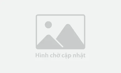 Những bước chân sau mặt báo