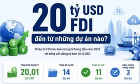 20 tỷ đô vốn FDI đổ vào Việt Nam: Cảng trung chuyển Cần Giờ, Samsung, Nhà Bè Metrocity và LNG Quỳnh Lập 'sáng rực'