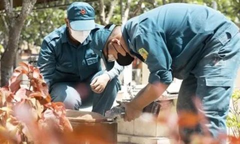 Mệnh lệnh từ trái tim: Hành trình vẹn tròn nghĩa tình