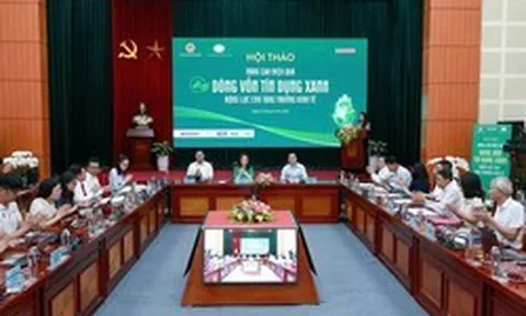 Tín dụng xanh tăng 20% mỗi năm, vì sao doanh nghiệp vẫn "khát" vốn chuyển đổi?