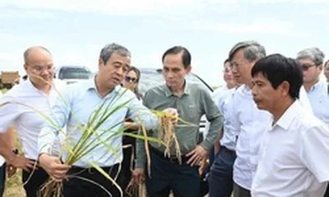 Gặp Bộ trưởng Việt Nam, Bí thư Tỉnh ủy Cuba “ngỏ lời” về lĩnh vực DN Việt lập kỳ tích 9 tấn/ha ở nước bạn