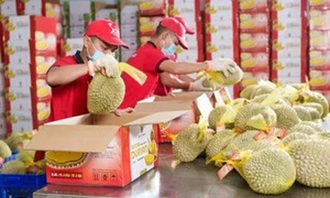 Muốn giữ thị trường 1,4 tỷ dân, nông sản Việt phải cạnh tranh bằng chất lượng