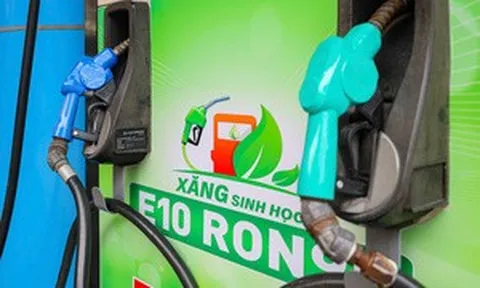800 triệu lít xăng E10 được tiêu thụ sau 1 tháng mở bán toàn quốc