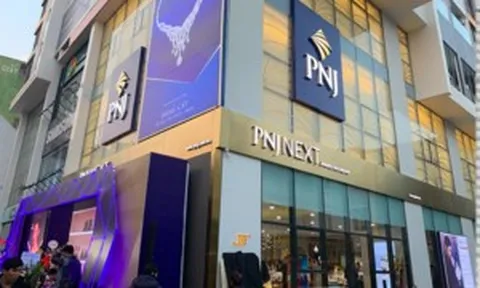 Cổ phiếu PNJ nằm sàn, thấp nhất từ đầu năm sau tin lãnh đạo P-Lab bị khởi tố