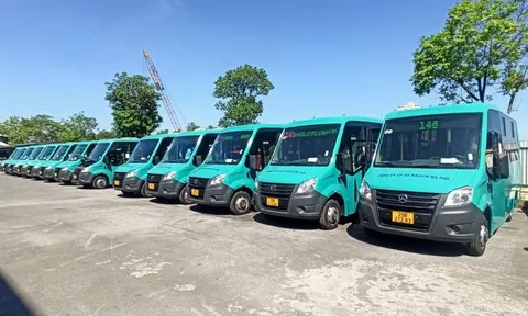TP HCM có kế hoạch mở rộng độ phủ giao thông công cộng với loạt minibus?
